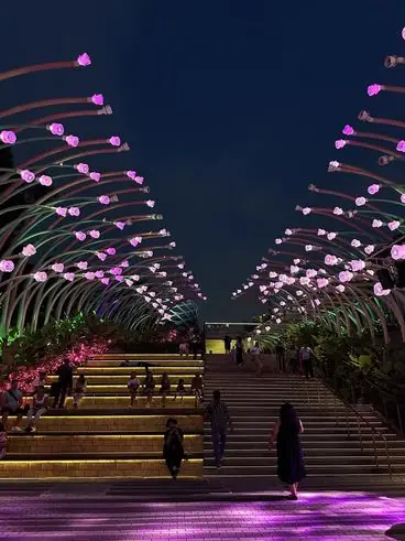 A path lined with glowing light sculptures